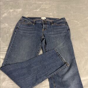 Loft Blue Denim Jeans